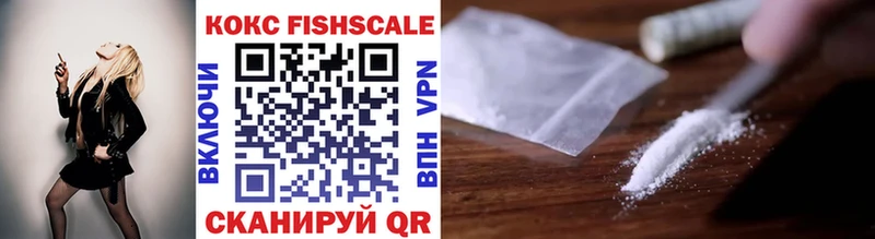 COCAIN Fish Scale  Купить закладки  Туапсе 