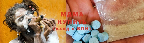 индика Дмитров