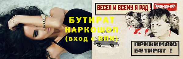 индика Дмитров