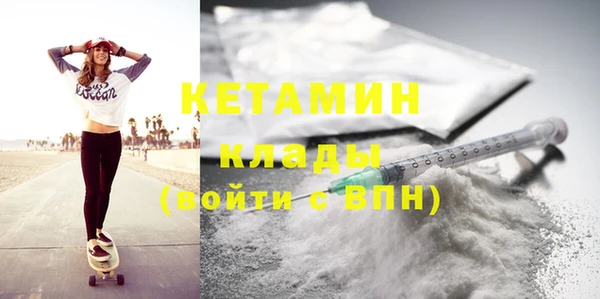 индика Дмитров