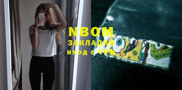 индика Дмитров