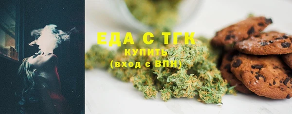 spice Дмитриев