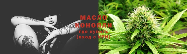 индика Дмитров