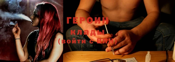 индика Дмитров