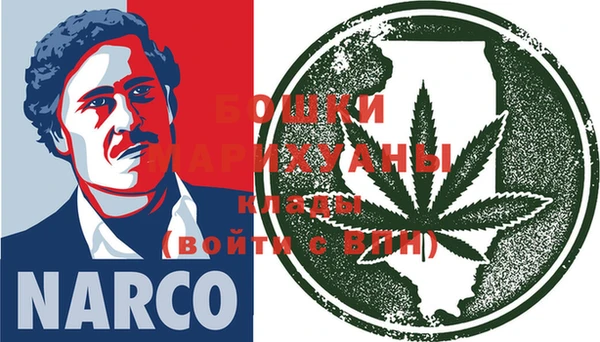 индика Дмитров
