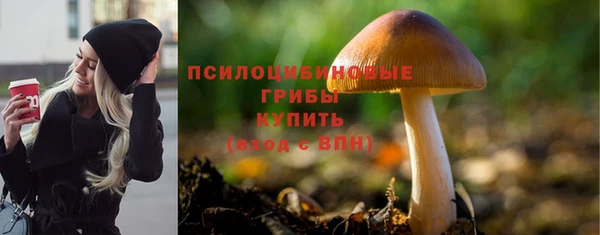 spice Дмитриев