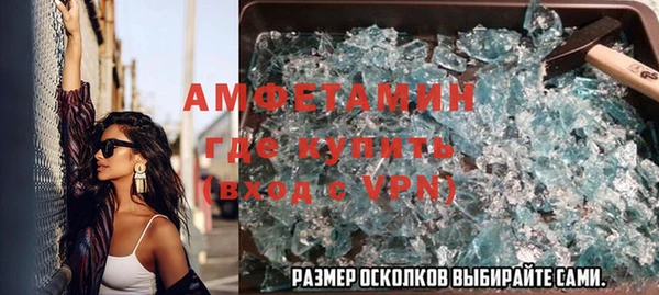 индика Дмитров