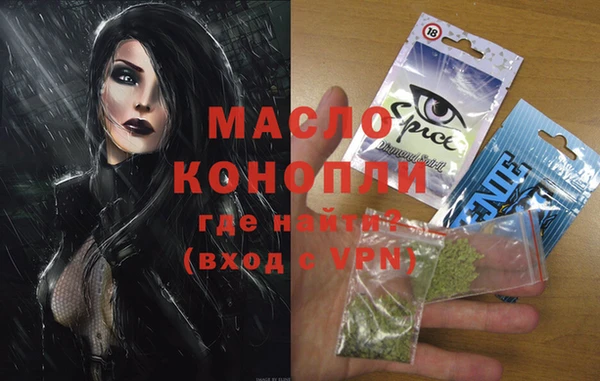 индика Дмитров