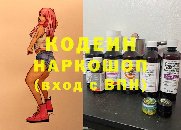 spice Дмитриев