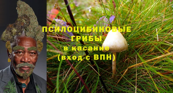 индика Дмитров