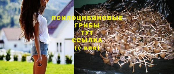 mdpv Дмитровск