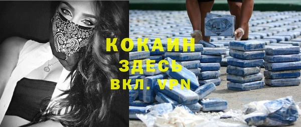 spice Дмитриев