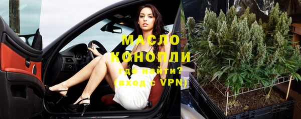 spice Дмитриев