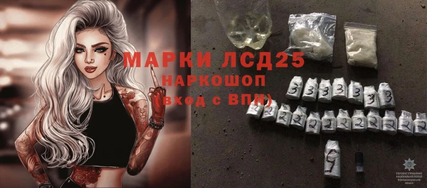 индика Дмитров