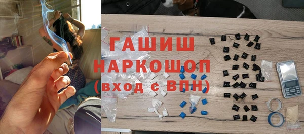 spice Дмитриев