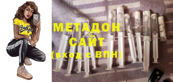 индика Дмитров
