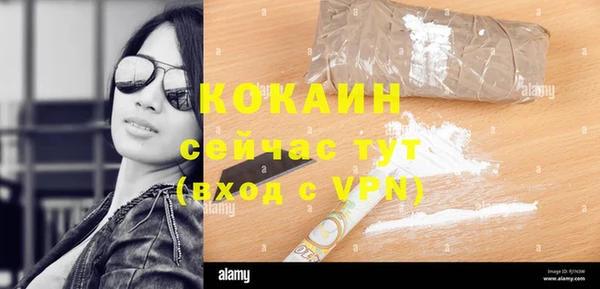 индика Дмитров