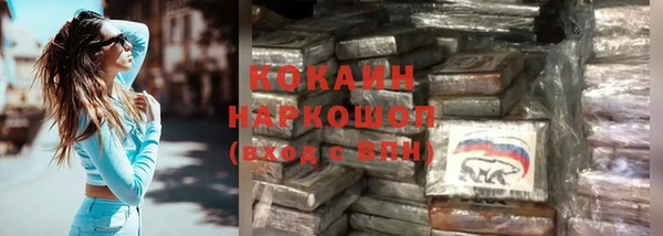 индика Дмитров