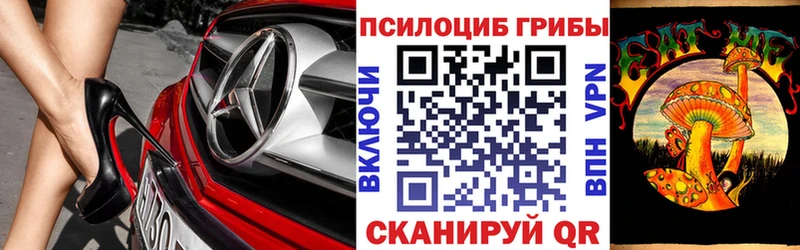 Псилоцибиновые грибы Cubensis  Купить закладки  Туапсе 