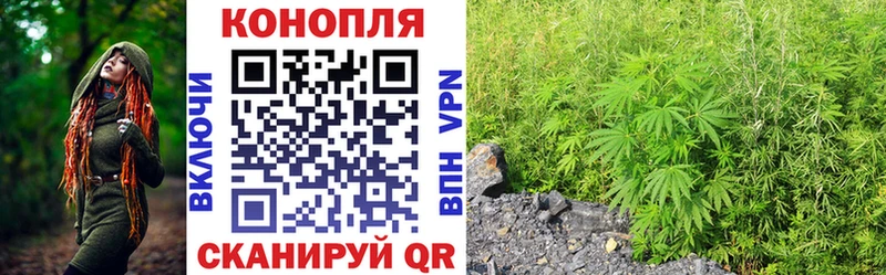 Канабис сатива  Купить  Туапсе 